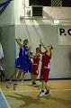 Basket 443003